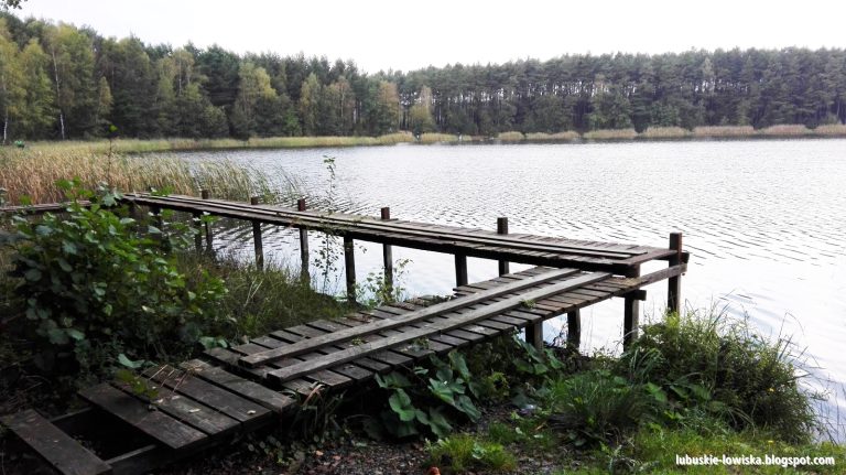 Kto „popsuł” jezioro Moczydło?